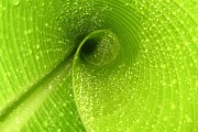 世界拳击职业联赛赛季后球员就业与创业对接会第二场举行，世界职业拳击协会