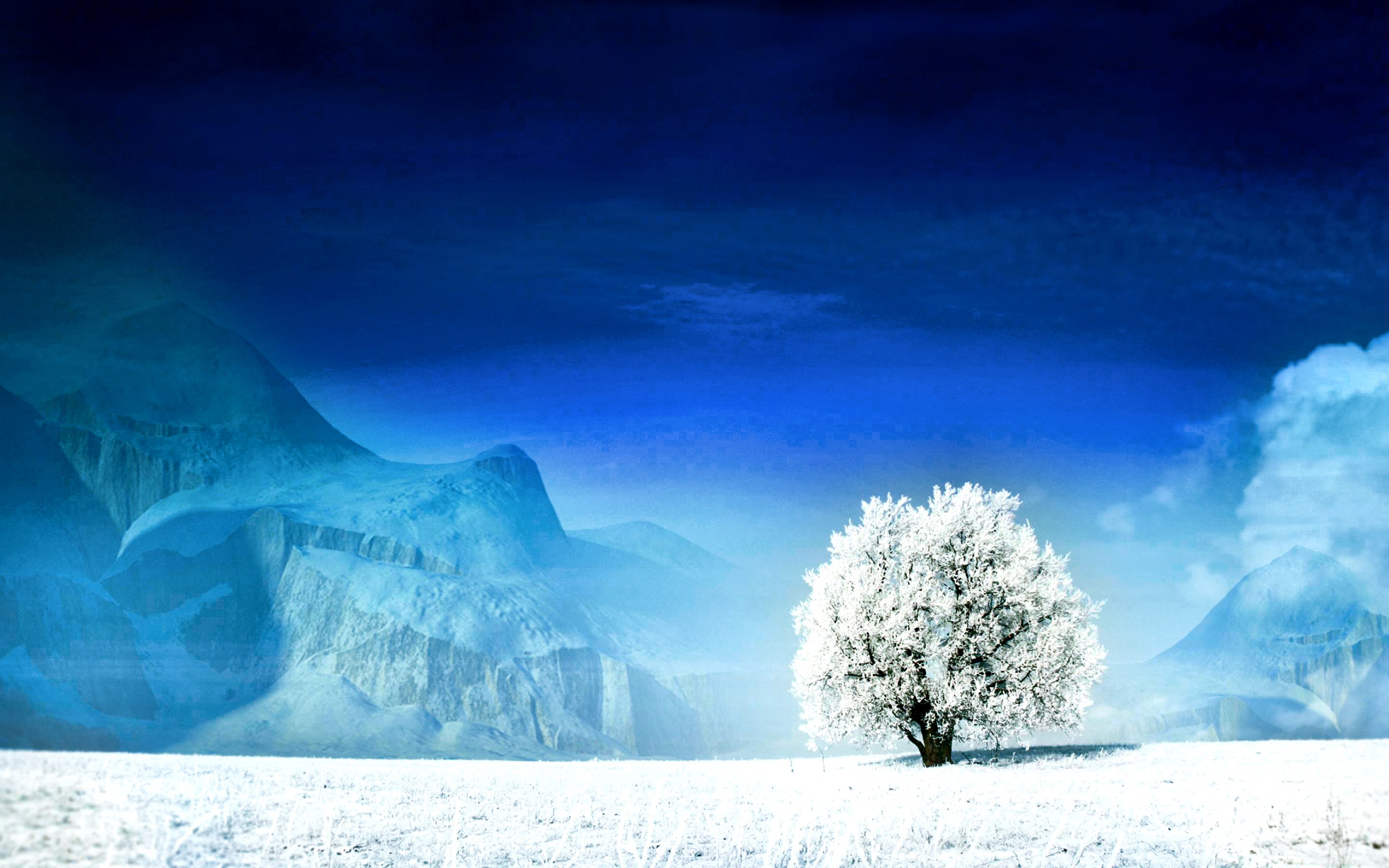 世界田径训练营举办运动医学专题讲座,田径项目世界排名